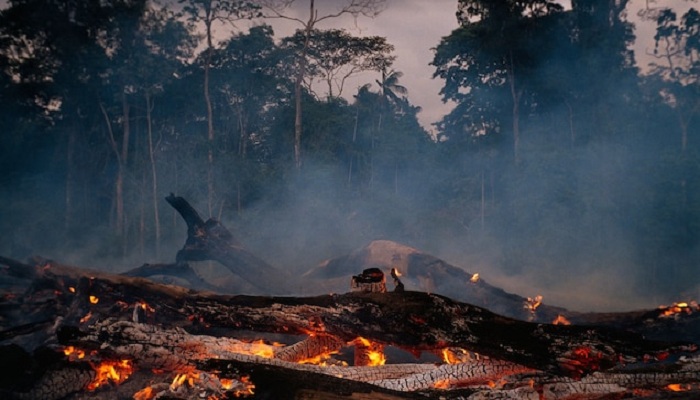 Brazil’s army fails in key mission halting Amazon deforestation