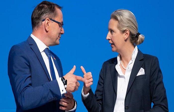 AfD and Left Party Secure Seats to Block Changes to Germany's Debt Brake