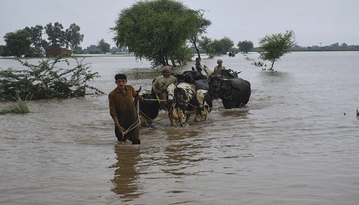 Hundreds Dead, Millions Displaced as Relentless 2025 Floods Devastate Pakistan’s Heartland